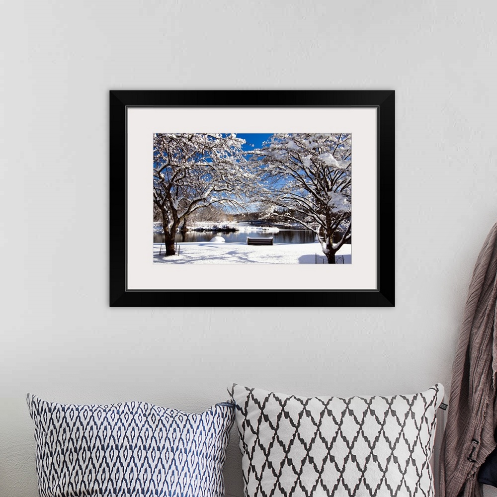 A bohemian room featuring Snow Covered Trees, Winter Scenic, South Branch of Raritan River, Clinton, New Jersey