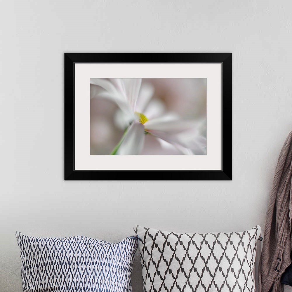 A bohemian room featuring Soft focus macro image of white petals on a daisy.
