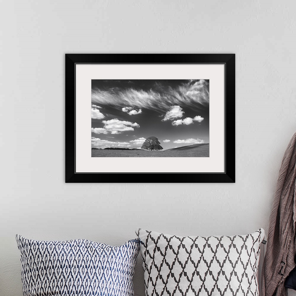 A bohemian room featuring Black and white photograph of a large lone tree in a big field under a wispy cloud sky.