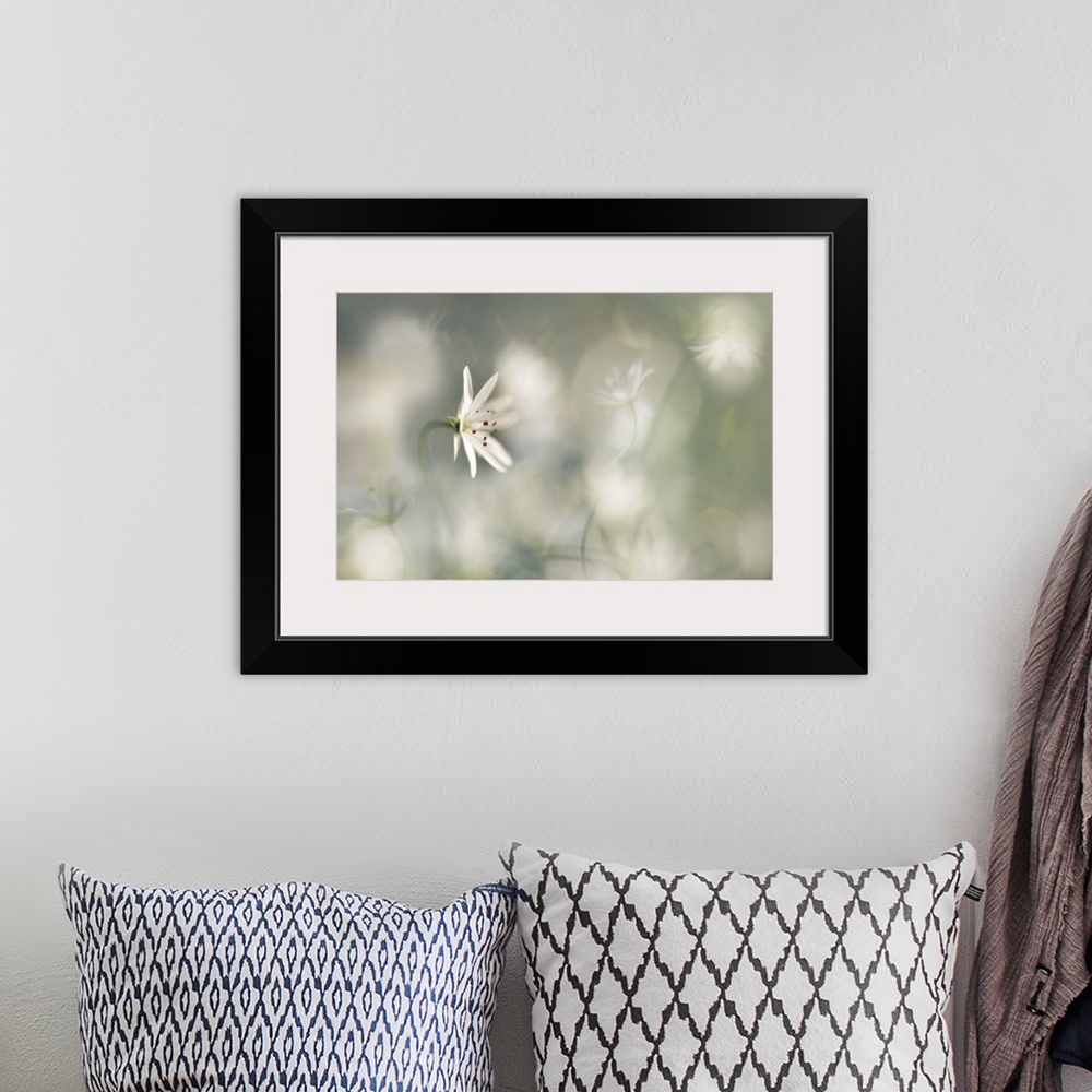 A bohemian room featuring A small white flower with a white bokeh background.