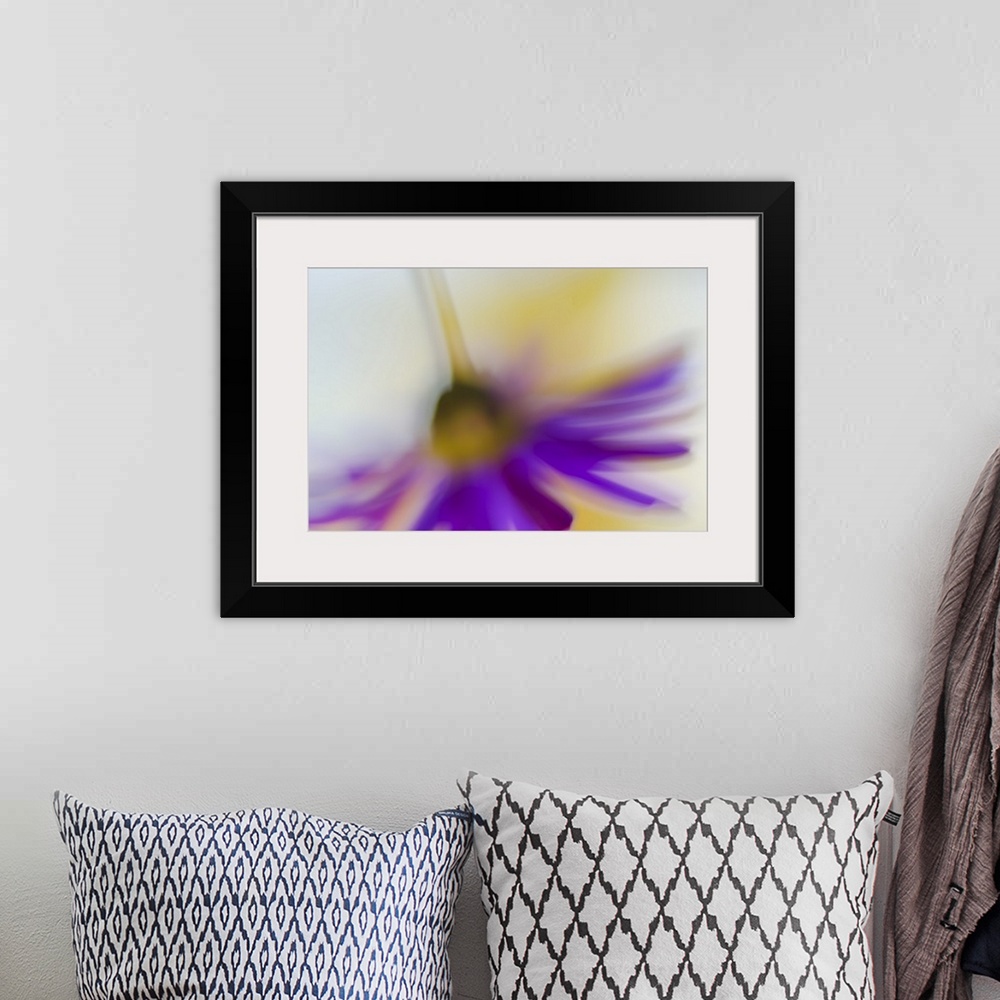 A bohemian room featuring Blurred view of a purple flower hanging upside-down.