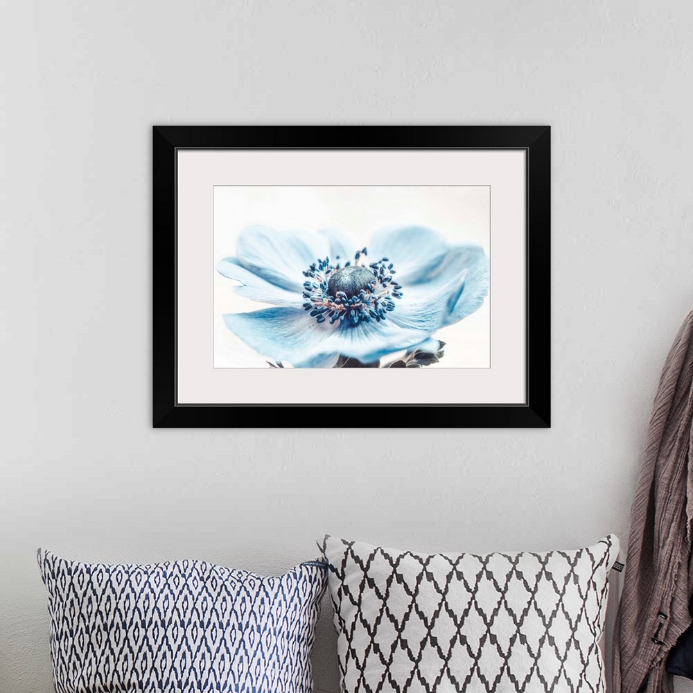 A bohemian room featuring Close up of blue flower