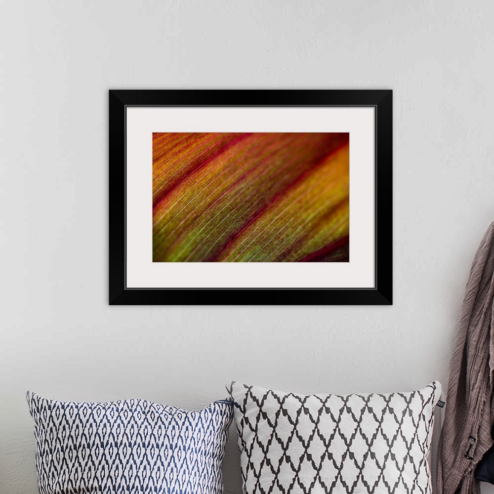 A bohemian room featuring Abstract artwork of a closely taken photograph of a plant. Veins in the plant are visible and app...
