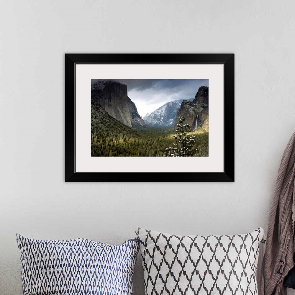 A bohemian room featuring Huge photograph displays a wide open valley within a national park in California densely covered ...