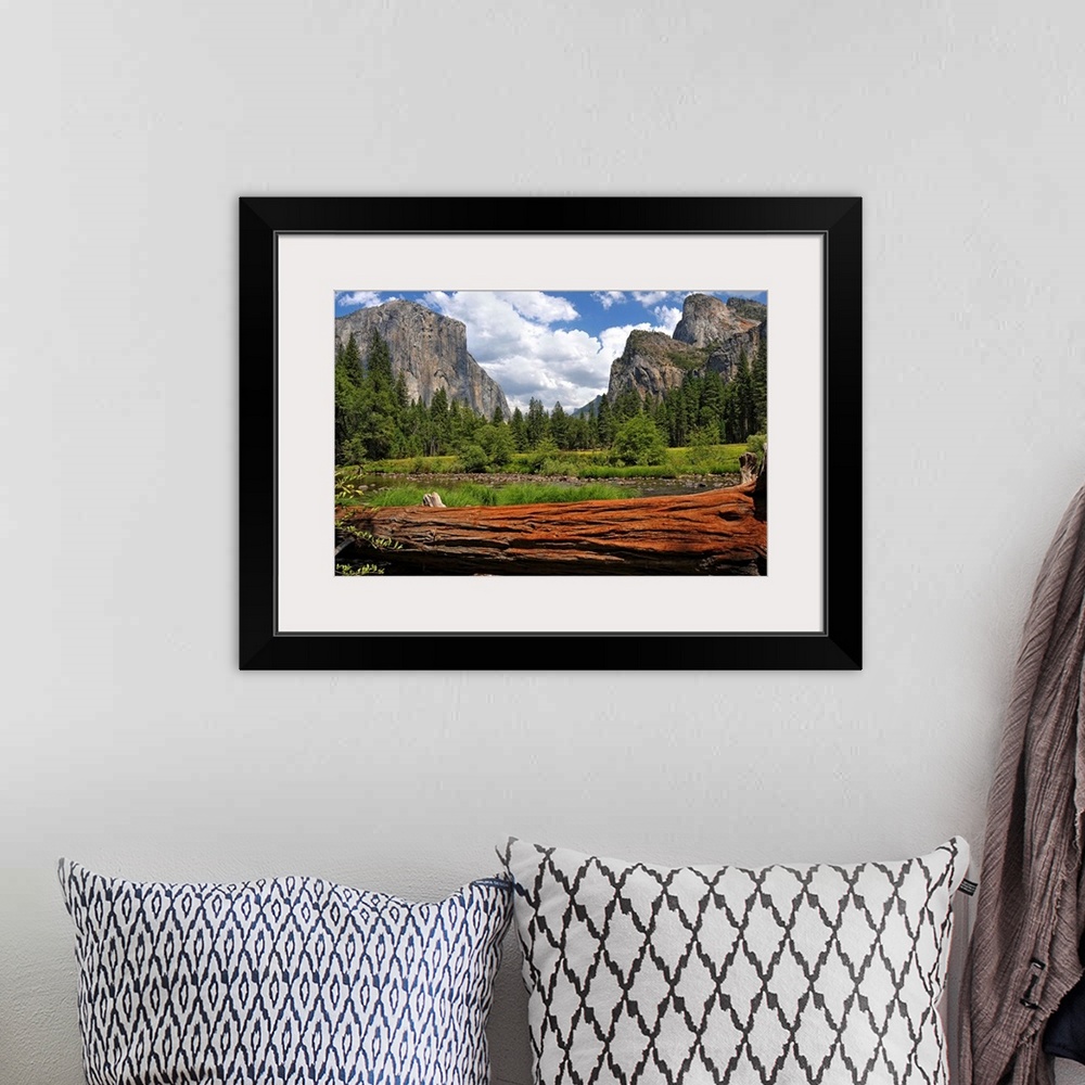 A bohemian room featuring Giant photograph of Yosemite Valley on a sunny day with a fallen tree trunk and pond in the foreg...