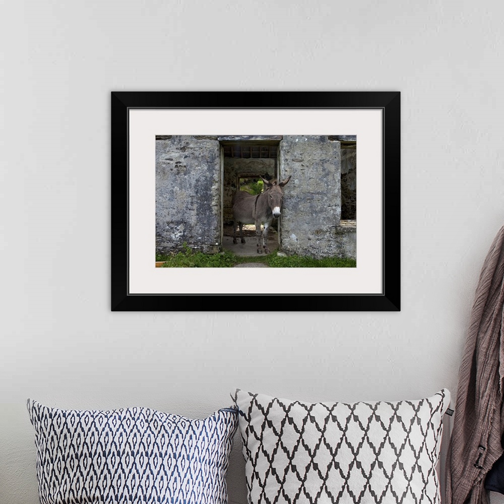 A bohemian room featuring Great Blasket Island, County Kerry, Ireland
