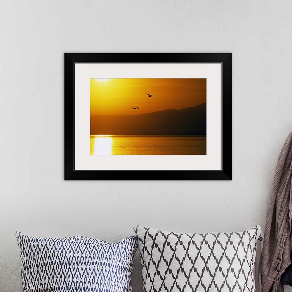 A bohemian room featuring Pair of seagulls flying over Cook Inlet at sunset, water reflection, Alaska