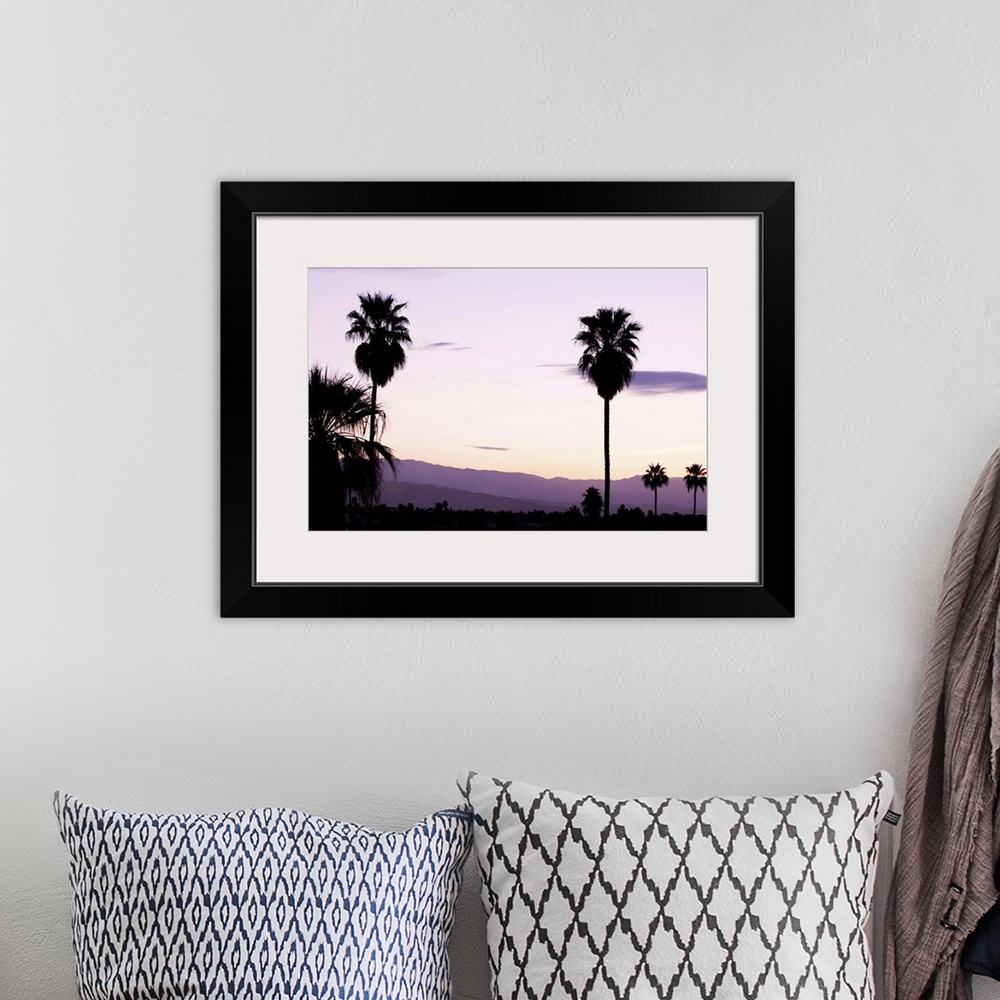 A bohemian room featuring Silhouette of palm trees at dusk, Palm Springs, Riverside County, California
