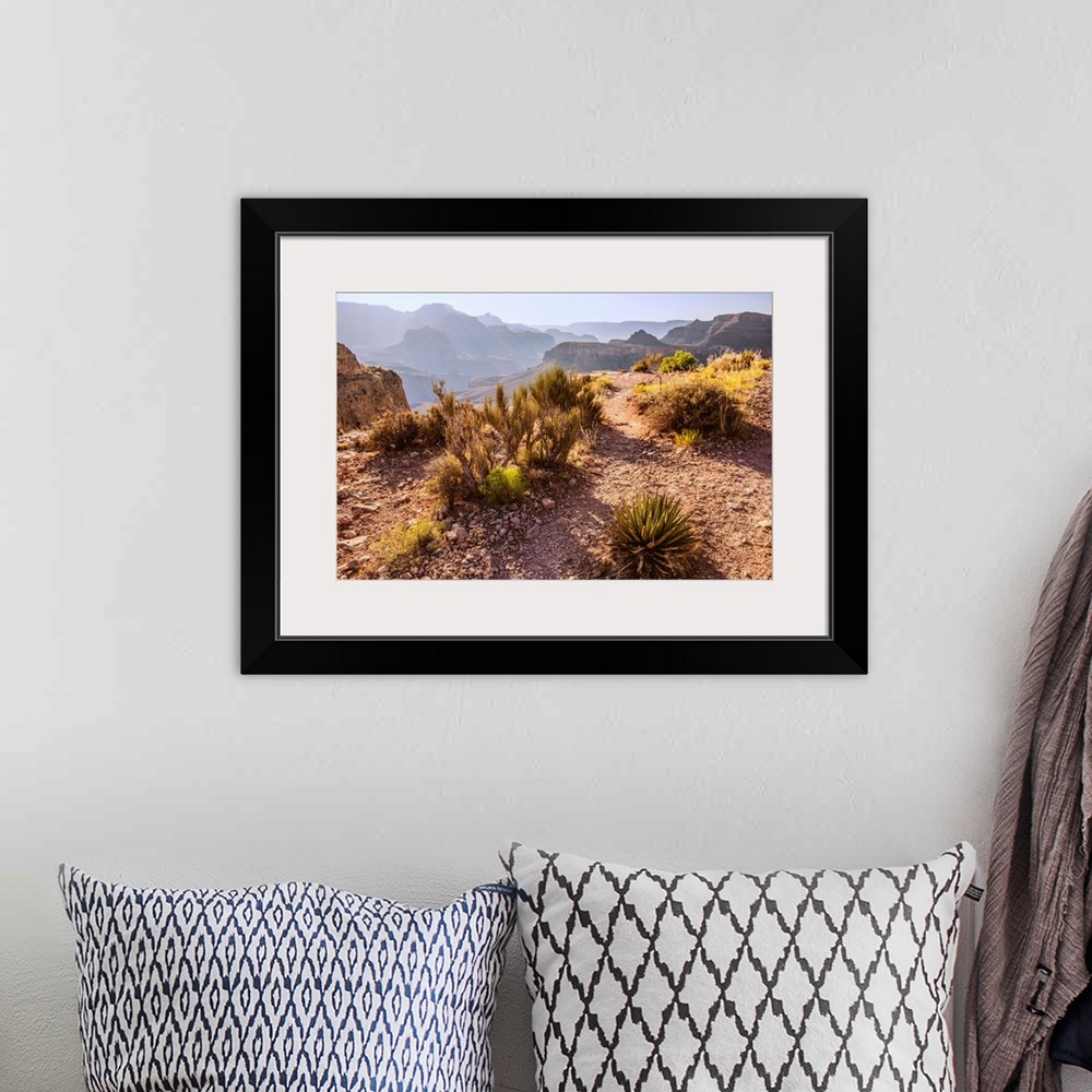 A bohemian room featuring Desert vegetation in Grand Canyon National Park, Arizona.