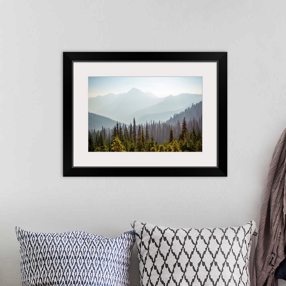 A bohemian room featuring View of Hurricane Ridge with Mount Angeles in the background, Olympic National Park, Washington.