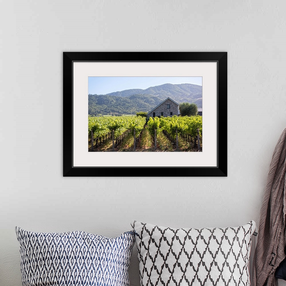 A bohemian room featuring Landscape photograph of a Napa Valley vineyard with rows of grape vines and a cobblestone buildin...