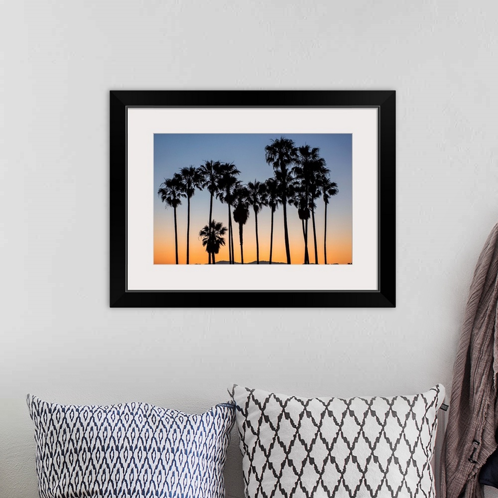 A bohemian room featuring The picturesque view of silhouetted palm trees on Venice beach, California.