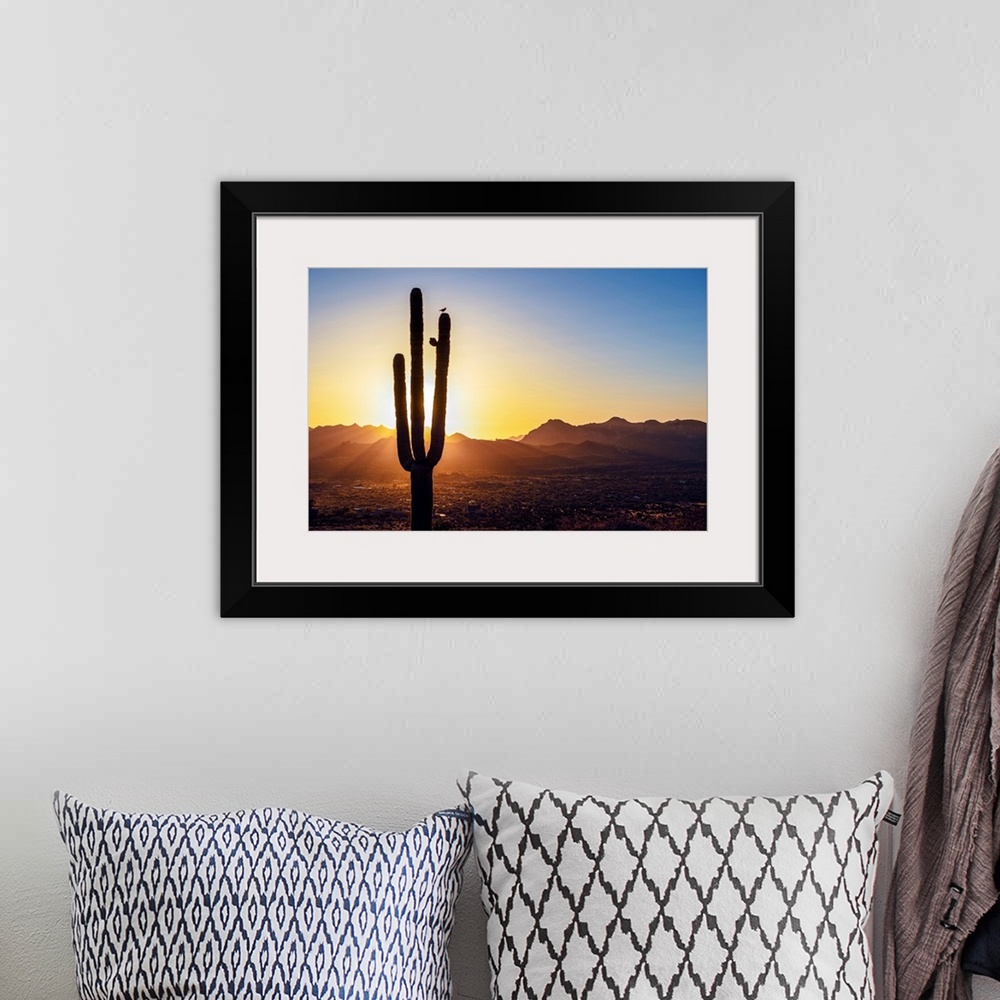 A bohemian room featuring Sun peeking through Saguaro cactus at sunset in Phoenix, Arizona.