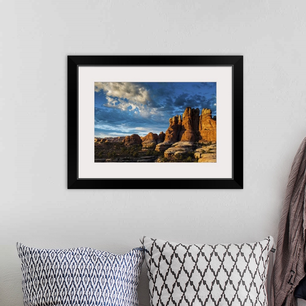 A bohemian room featuring Beautiful rock formations in the Needles, Canyonlands National Park, Utah