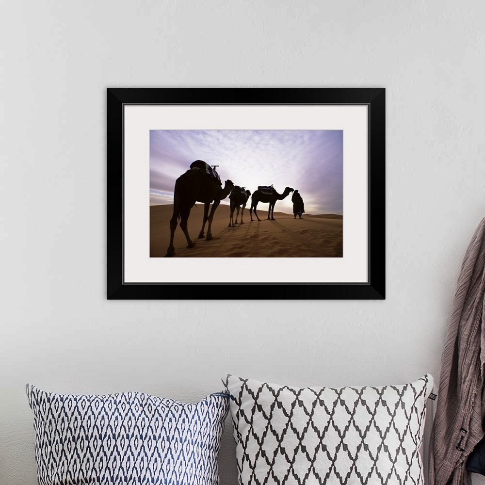 A bohemian room featuring Berber camel leader and camels in Erg Chebbi sand sea, Sahara Desert, Morocco