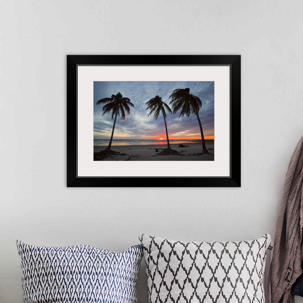 A bohemian room featuring Sunset and palm trees on Playa Guiones beach, Nosara, Nicoya Peninsula, Costa Rica