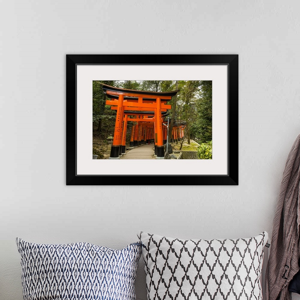 A bohemian room featuring The Endless Red Gates (torii) of Kyoto's Fushimi Inari Shrine, Kyoto, Japan, Asia.