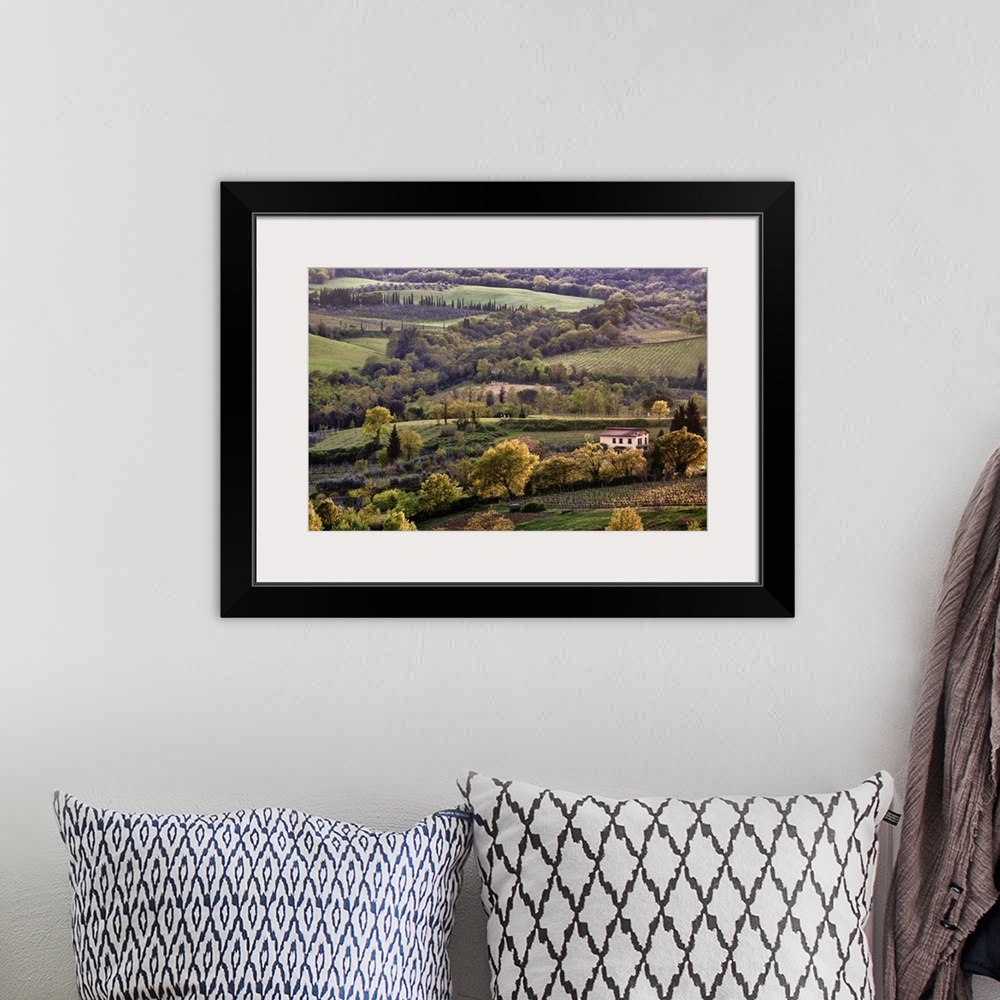 A bohemian room featuring Fields and hills in a wine vineyard are photographed from an aerial view. Various trees are scatt...