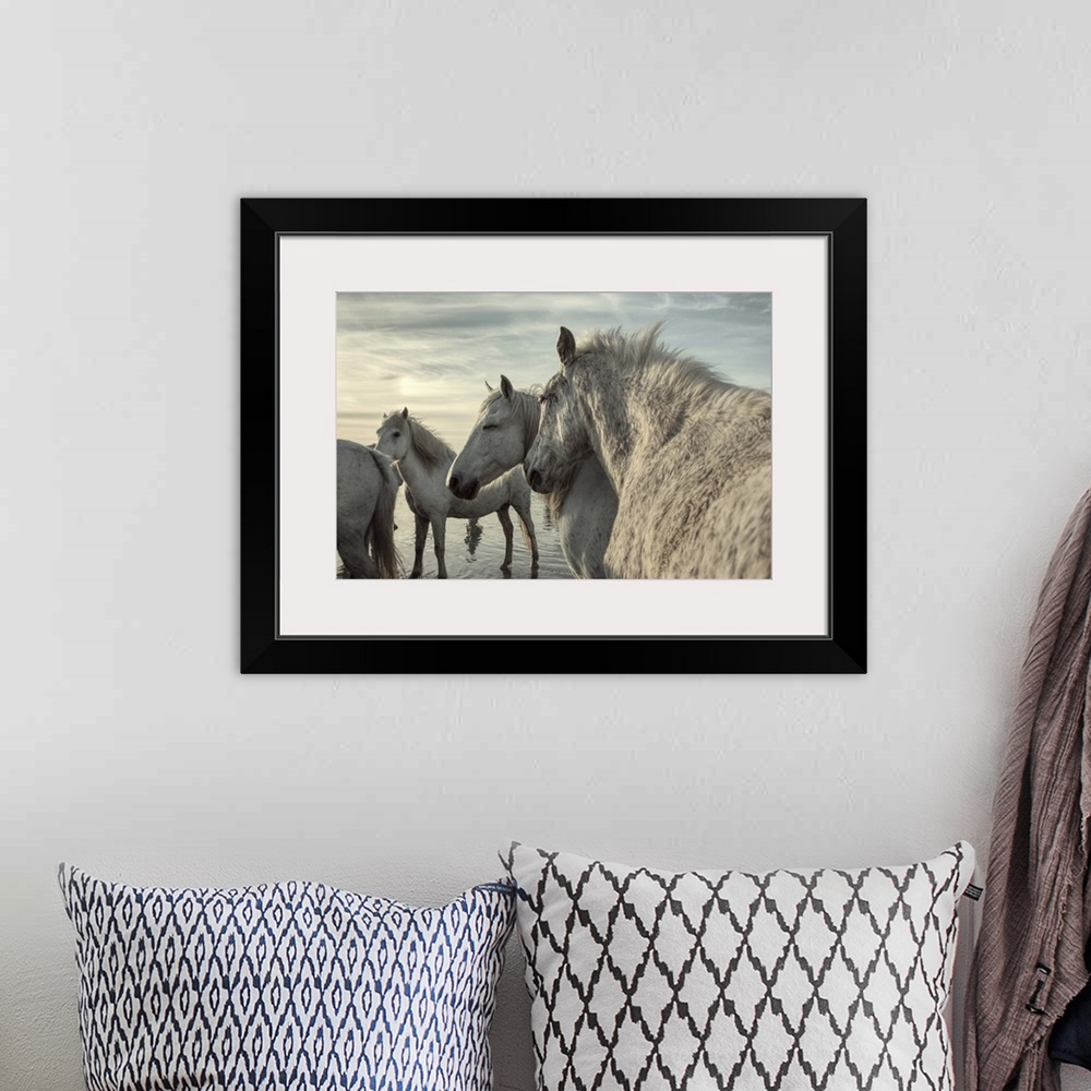 A bohemian room featuring The White Horses of the Camargue by the water in the South of France.