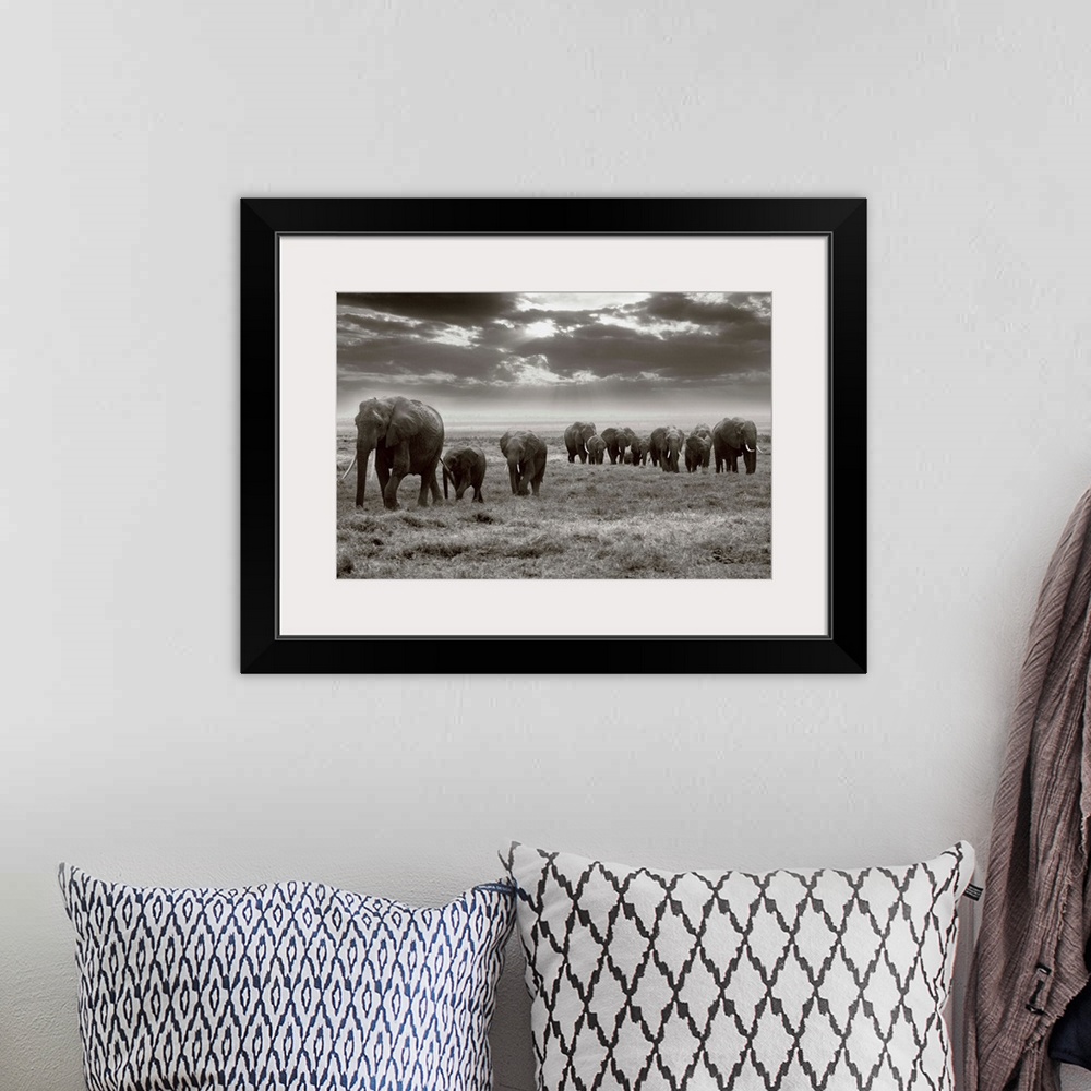 A bohemian room featuring Amboseli Elephants