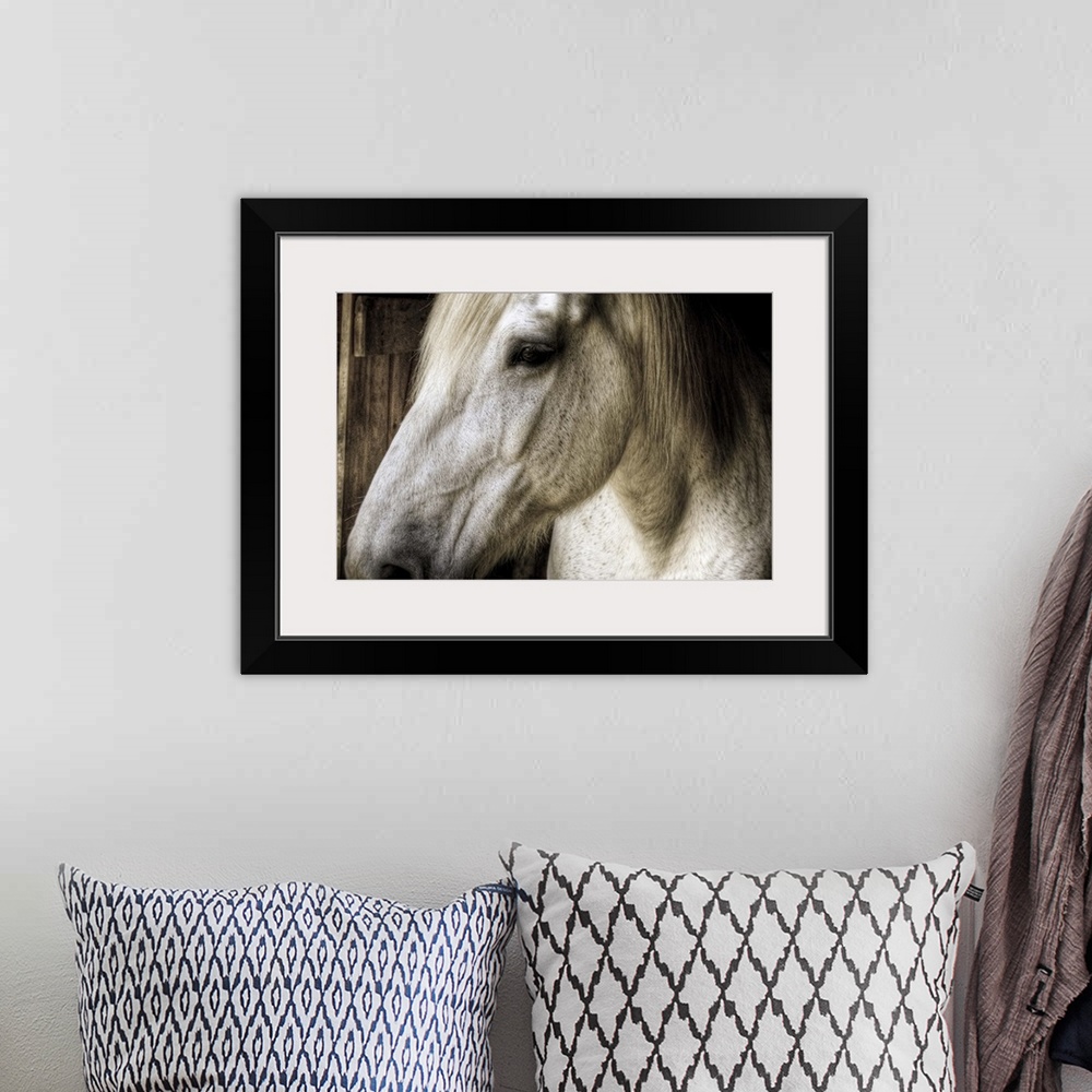 A bohemian room featuring The left side of a horses head is photographed very closely as it stands in a stable.