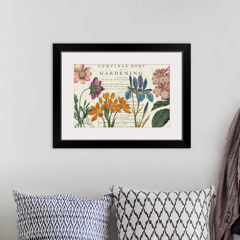 A bohemian room featuring Botanical illustrations against a weathered background with text.