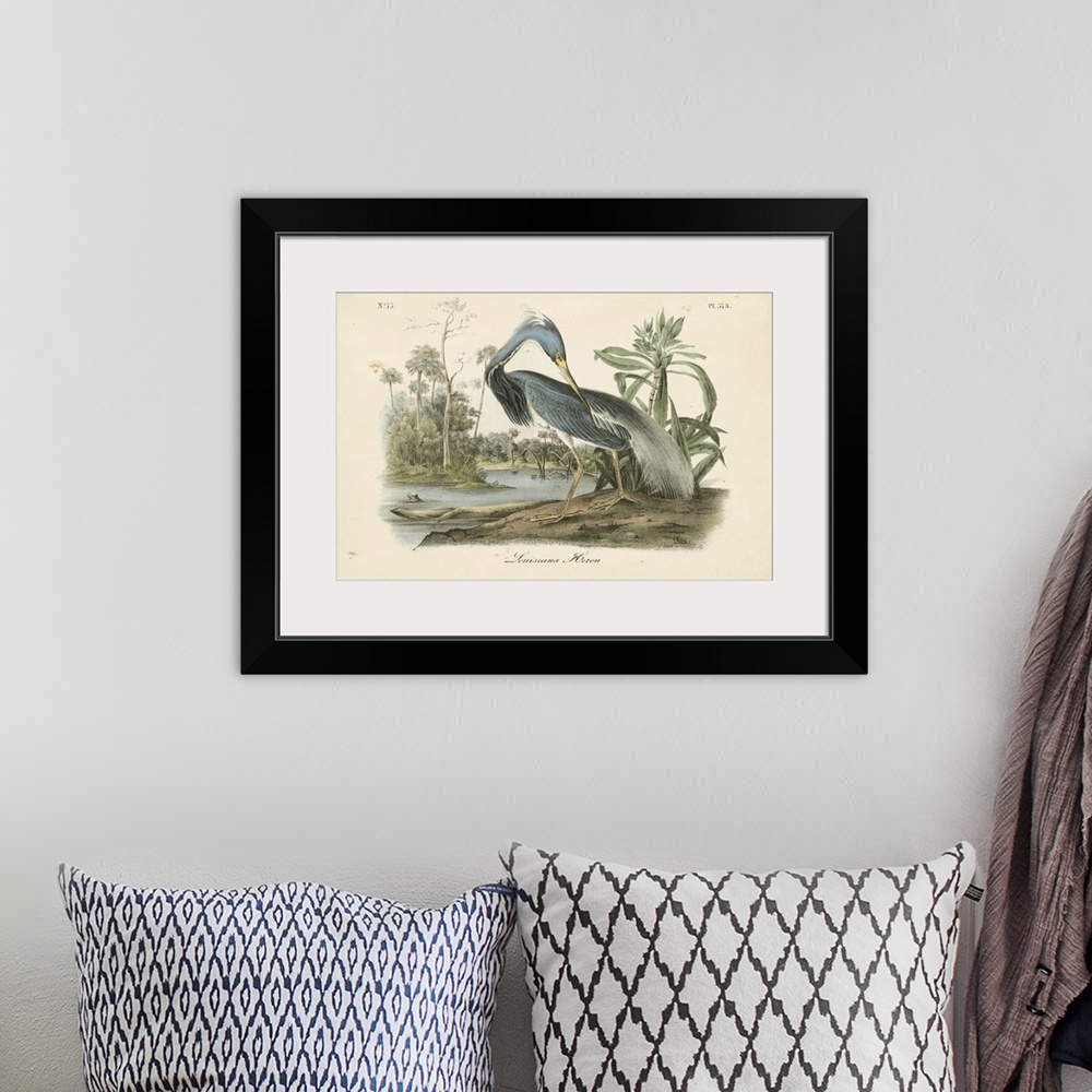 A bohemian room featuring Contemporary artwork of a vintage stylized bird illustration.