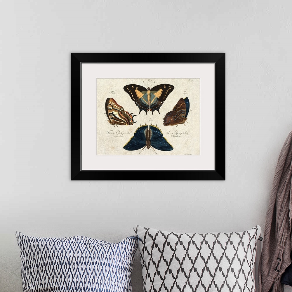 A bohemian room featuring Crackled Butterflies IV