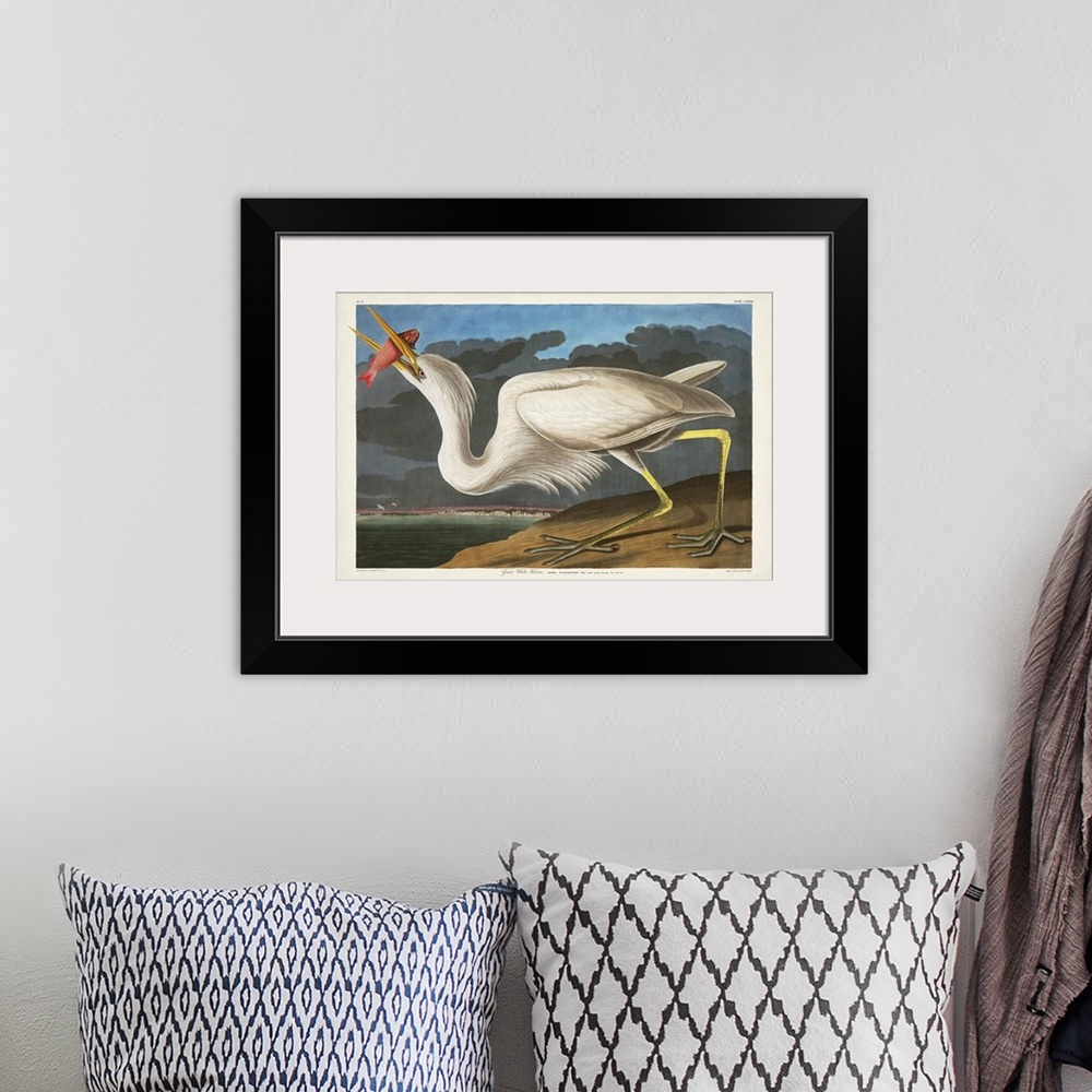 A bohemian room featuring Great White Heron