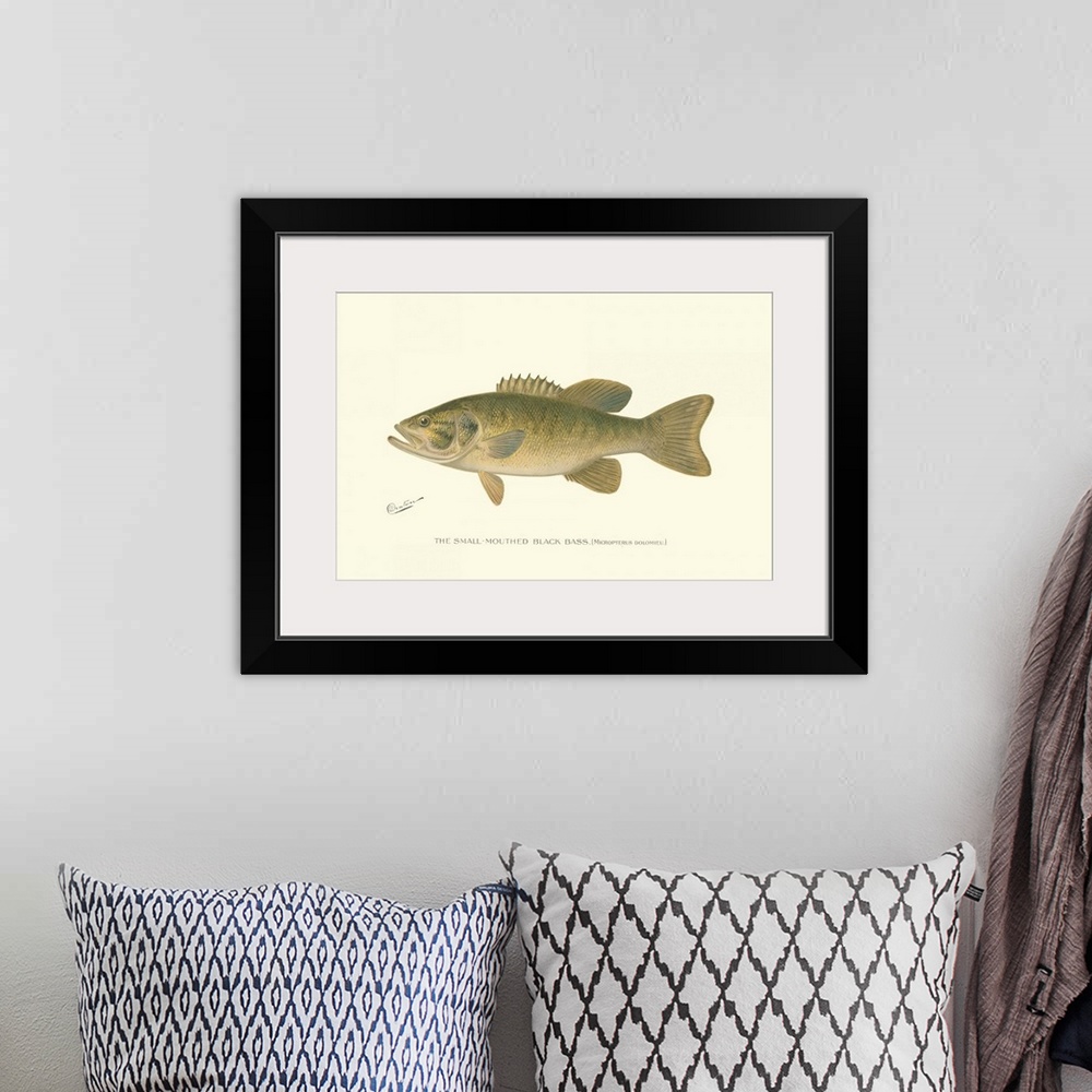 A bohemian room featuring Small-Mouthed Black Bass