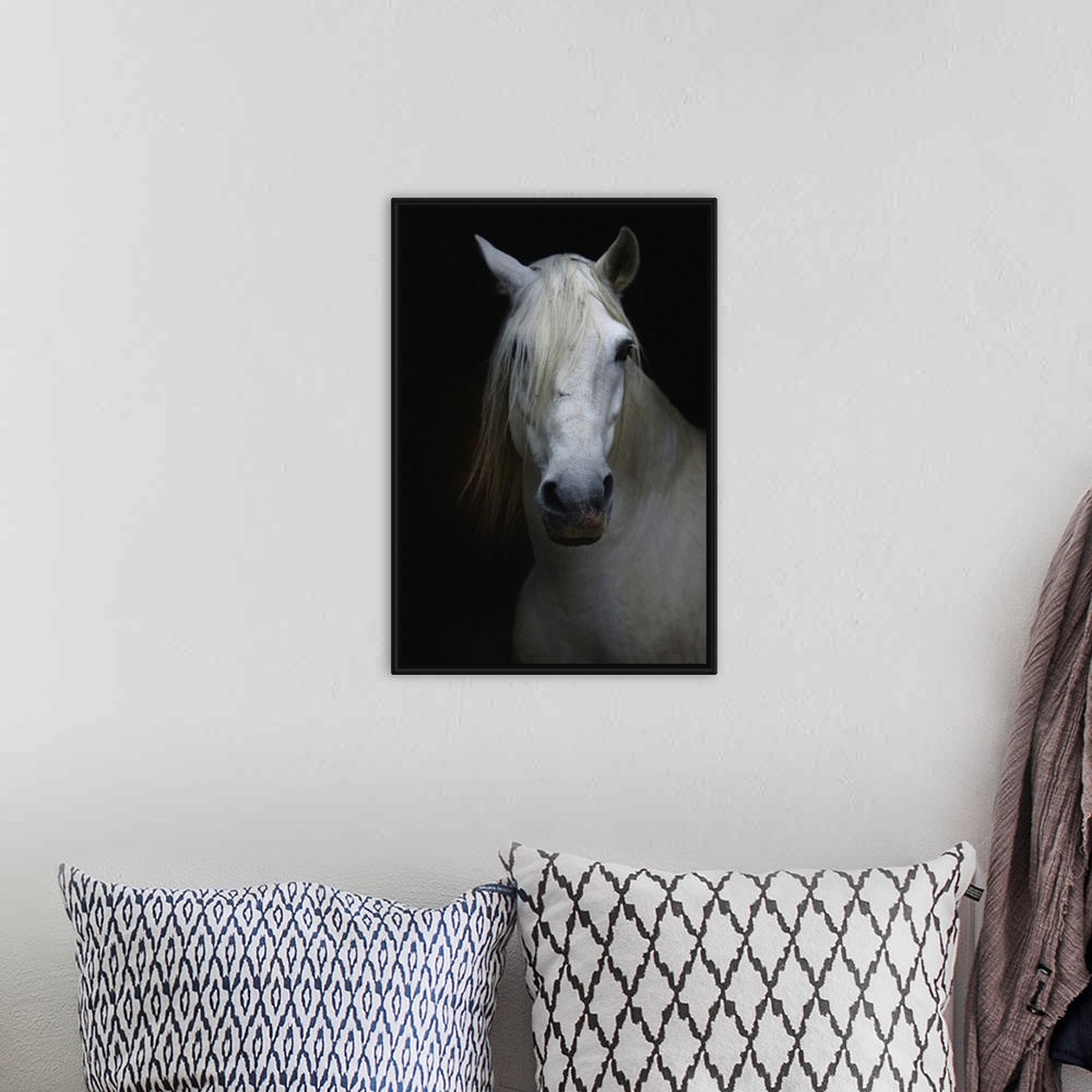 A bohemian room featuring White horse in shadow