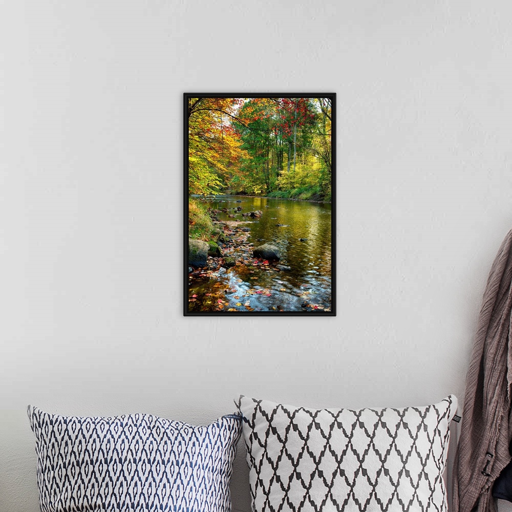 A bohemian room featuring Fine art photo of a river in an autumn forest in New Jersey.