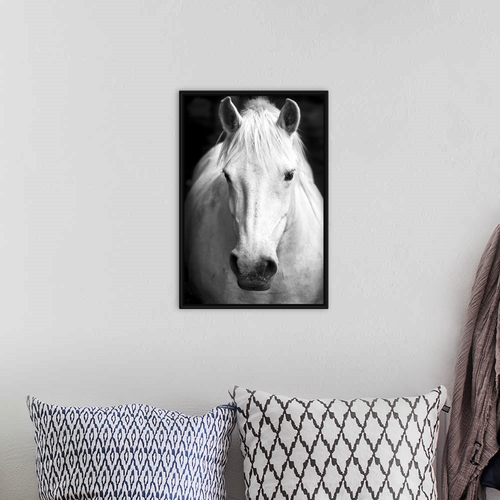 A bohemian room featuring White horse's black and white art portrait