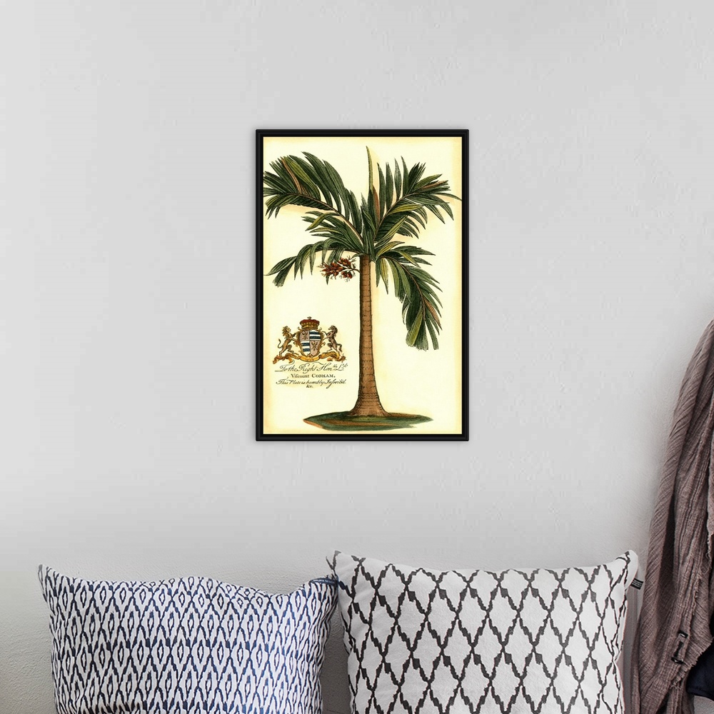 A bohemian room featuring British Colonial Palm I