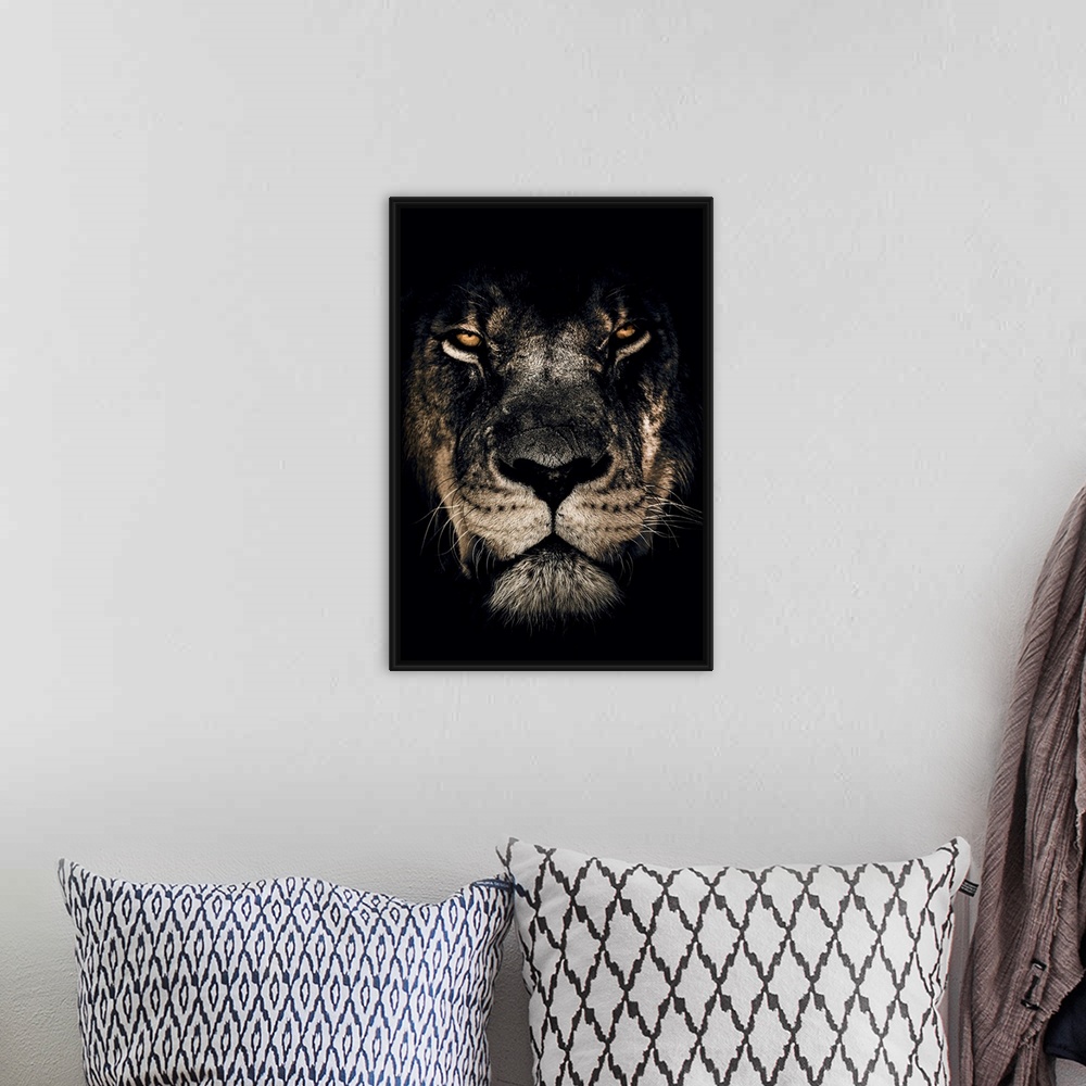A bohemian room featuring Dark Lion Closeup