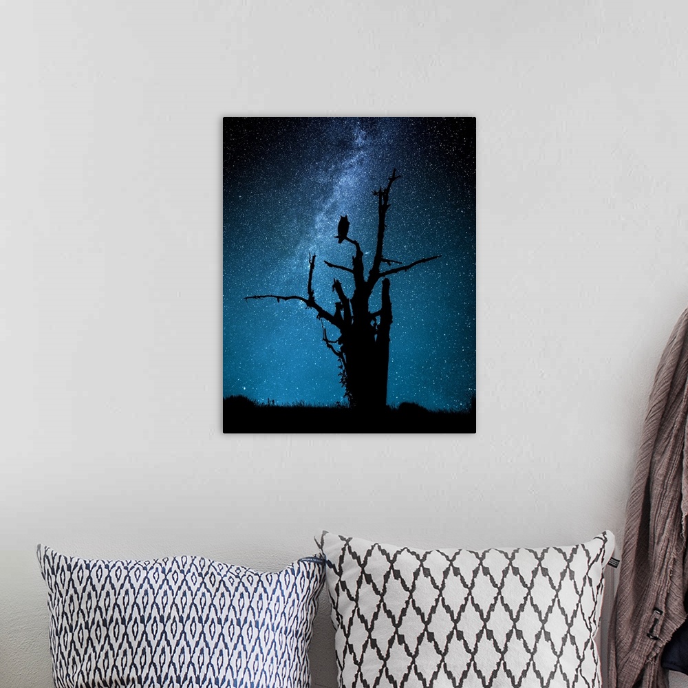 A bohemian room featuring Silhouette of an owl perched in a bare tree against the Milky Way in the starry night sky.