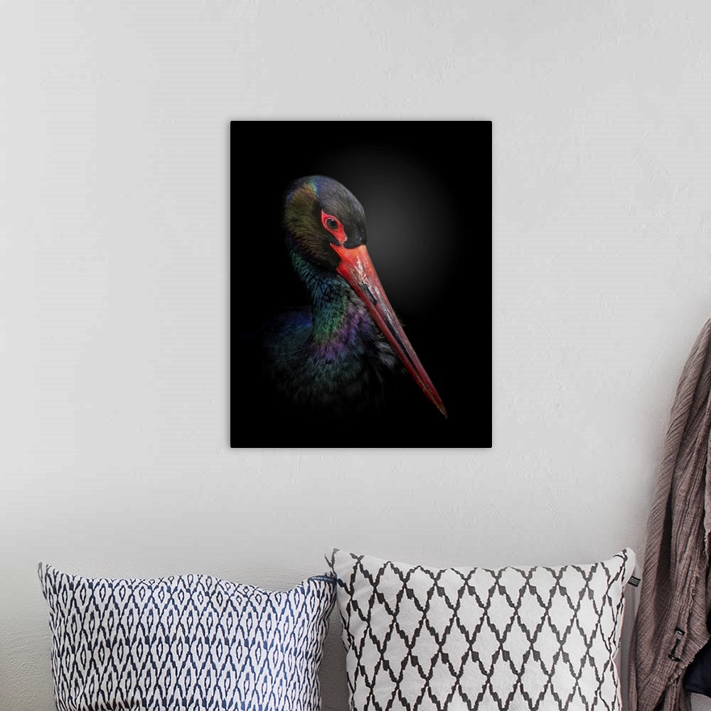 A bohemian room featuring The Black Stork