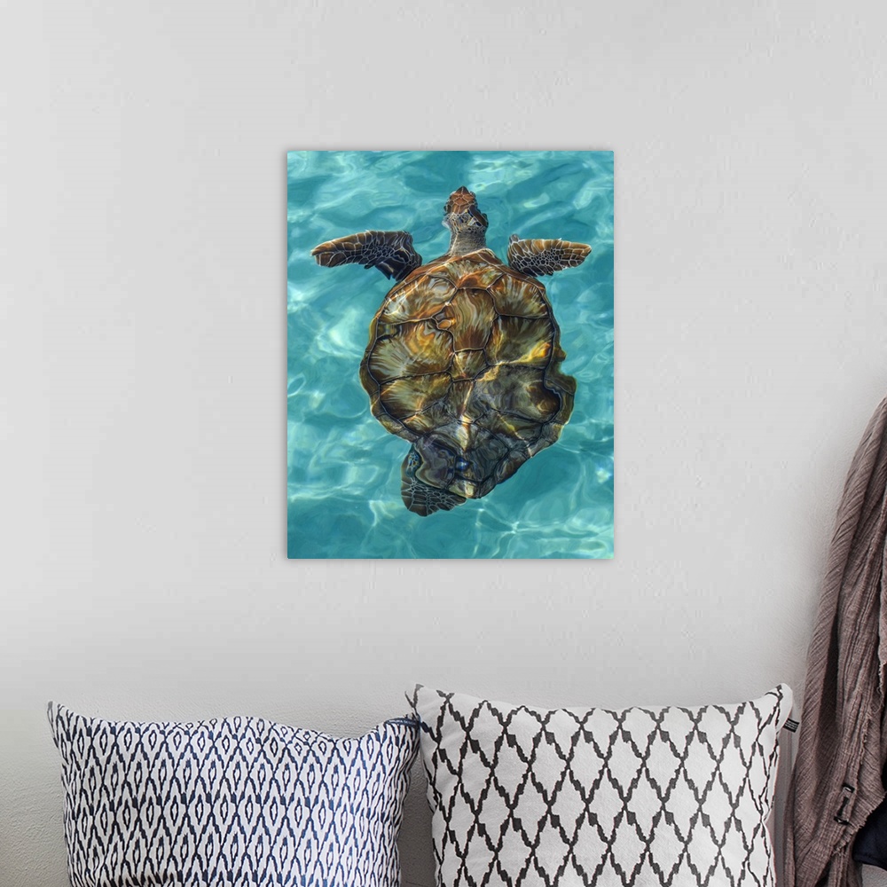 A bohemian room featuring Turtle swimming in the crystal clear, turquoise water of the Caribbean; Caribbean