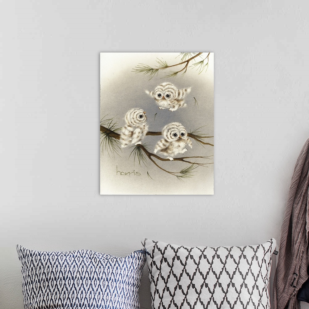 A bohemian room featuring Three baby owls on a branch.