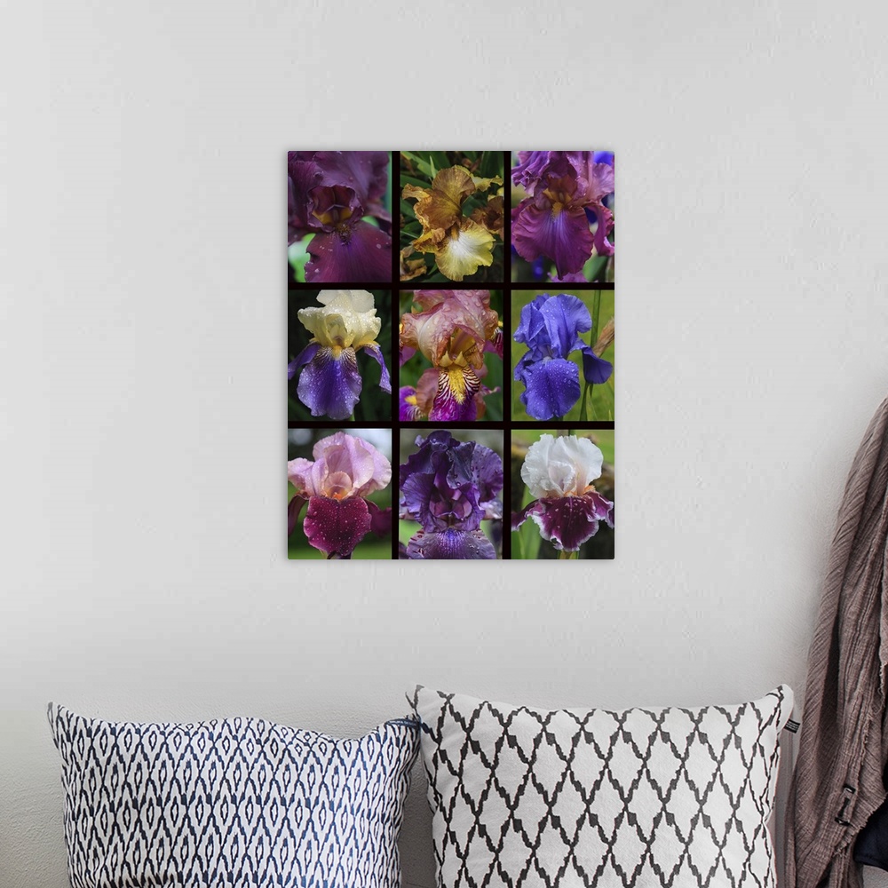 A bohemian room featuring Posters of irises shot in Aquitaine province of France after a rain.