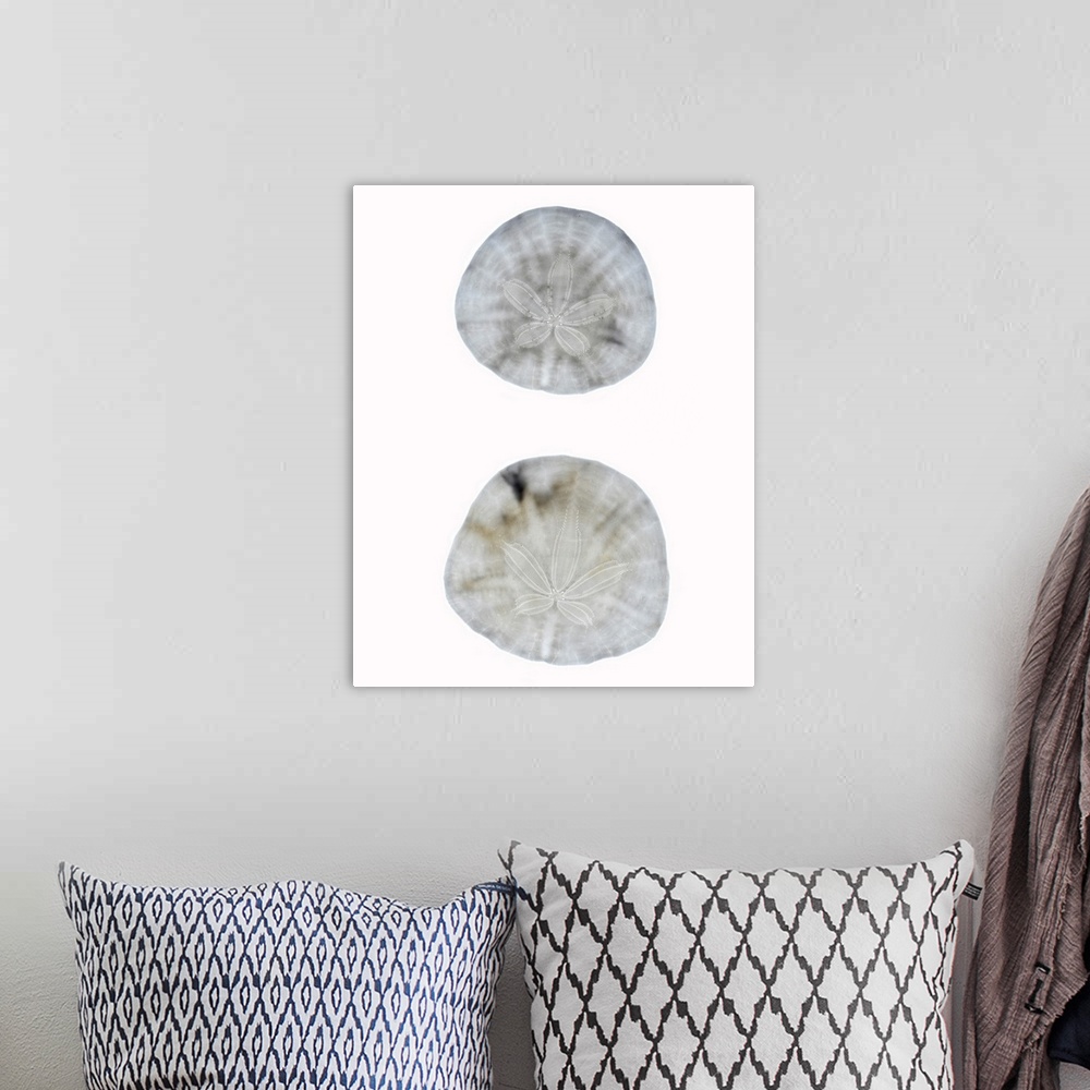 A bohemian room featuring Silhouette Sand dollars