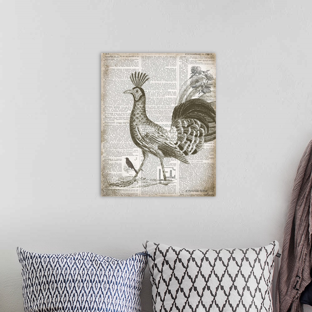 A bohemian room featuring Vintage illustration of a peacock on top of a page from a French text book.