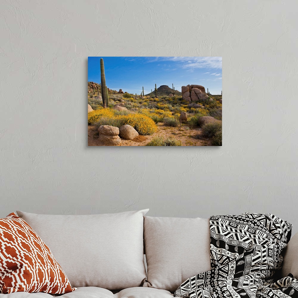 A view of Arizona's Sonoran desert with boulders Wall Art, Canvas ...
