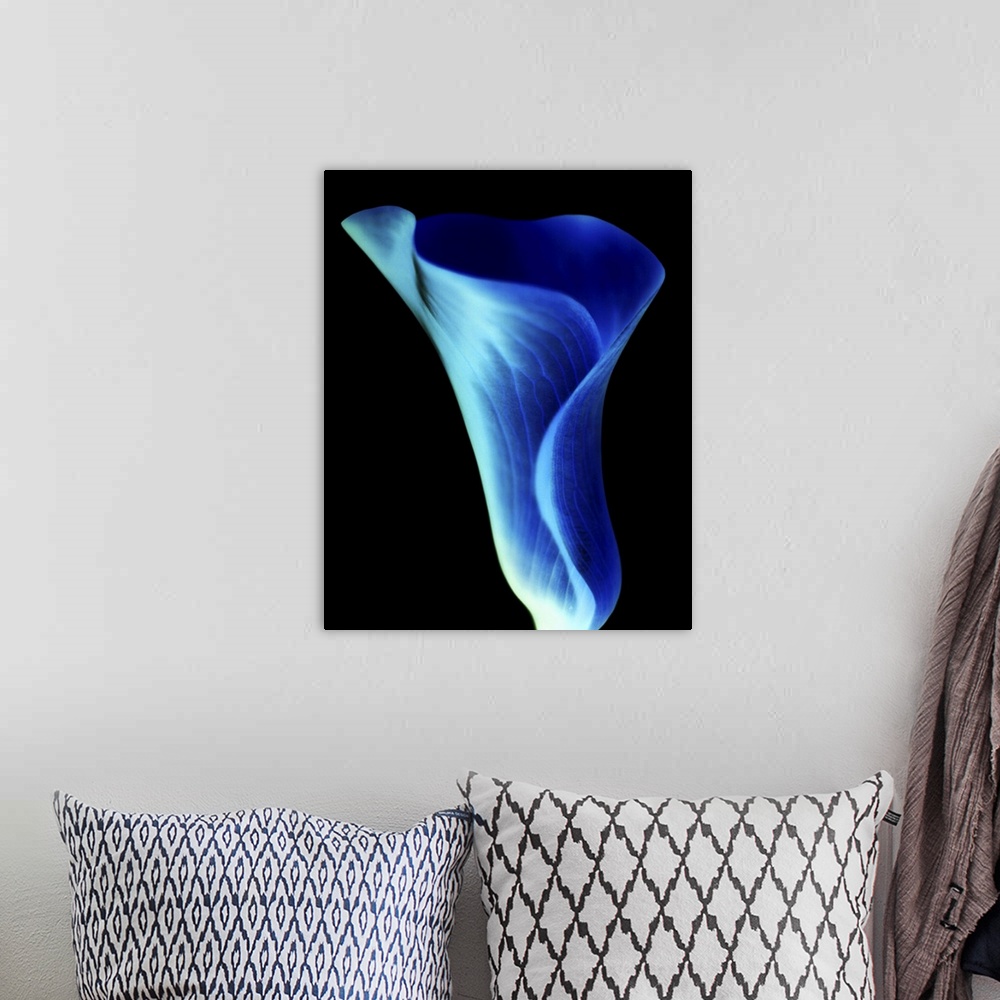 A bohemian room featuring Negative shot of a calla lily