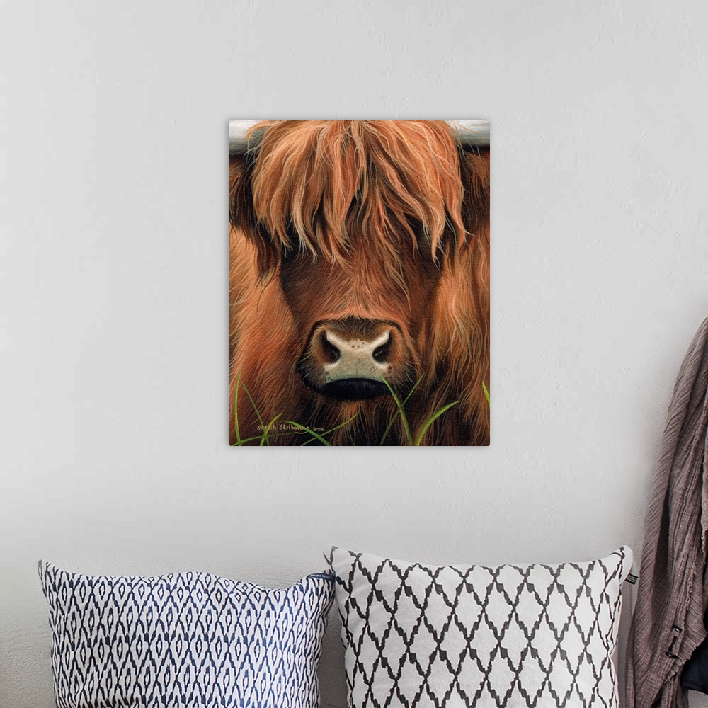 A bohemian room featuring Portrait of a highland cow with shaggy fur.
