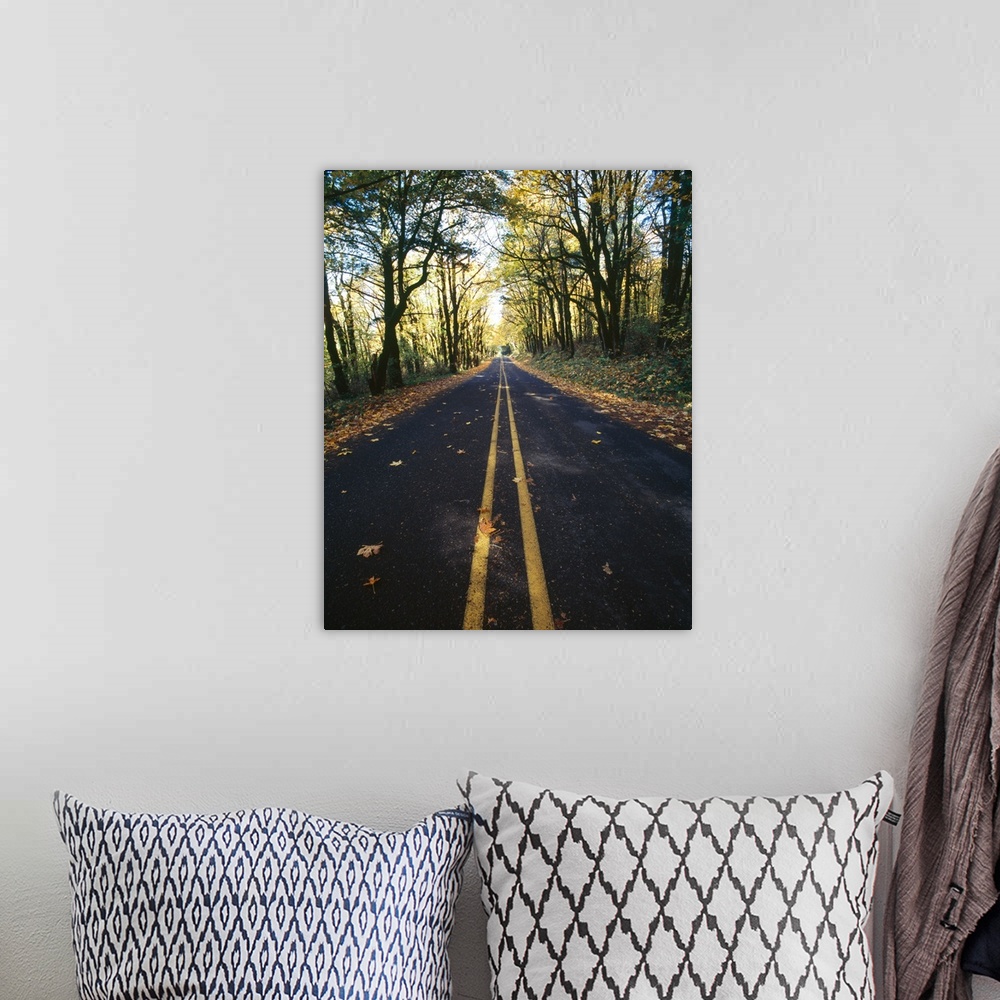 A bohemian room featuring Highway passing through a forest Historic Columbia River Highway Columbia River Gorge Multnomah C...