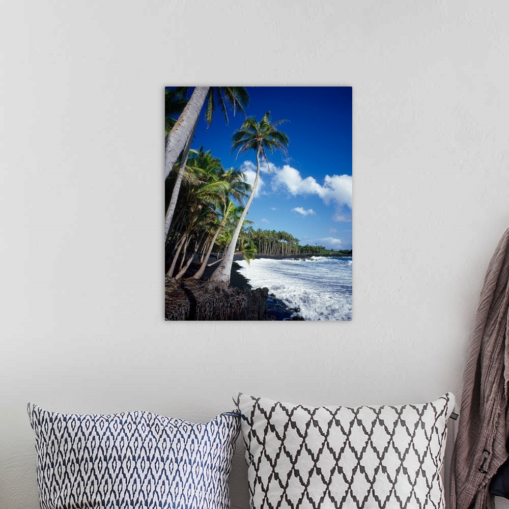 A bohemian room featuring Palm trees on the black sand beach, Hawaii, USA