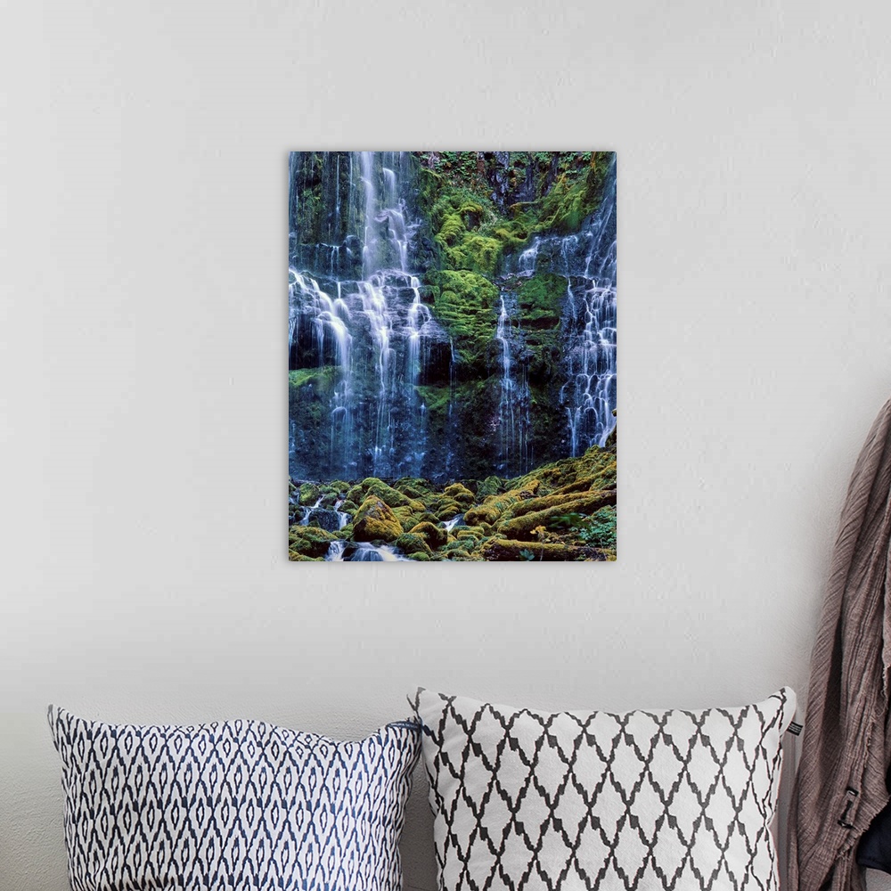 A bohemian room featuring Scenic view of waterfall in a forest, Lower Proxy Falls, Three Sisters Wilderness, Willamette Nat...