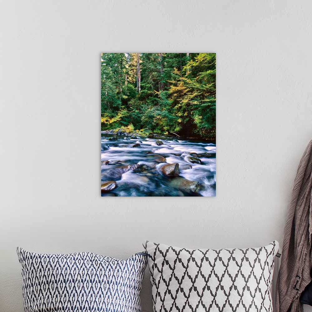 A bohemian room featuring Scenic view of a river flowing through rocks, North Santiam River, Willamette National Forest, La...