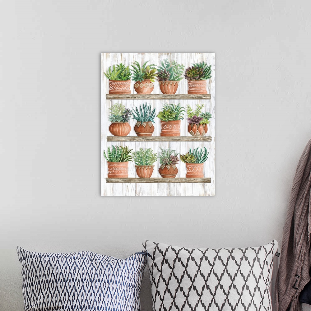 A bohemian room featuring Succulents on Shelves